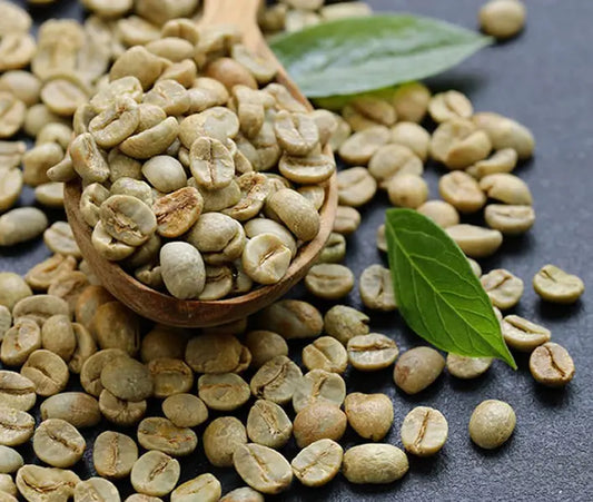 Green Freeze Experiment