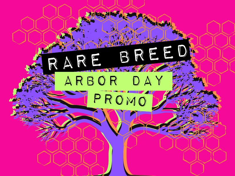 Arbor Day Explained: Why Planting Trees?