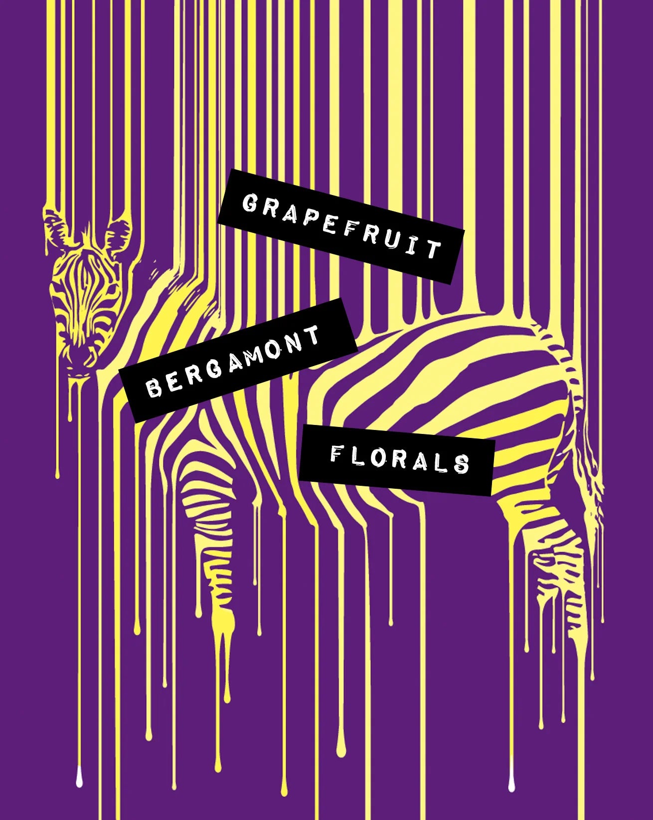 Ethiopia Natural - Blind Box Only