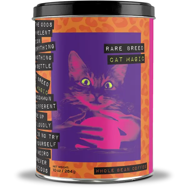 Cat Magic Sample