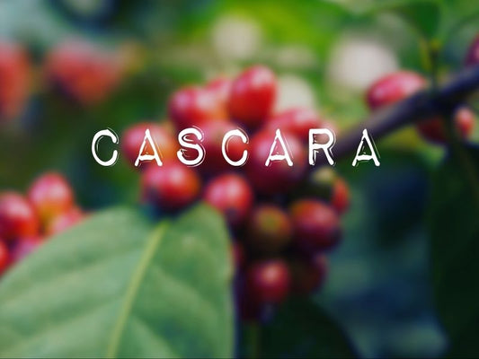 Spilling the Tea on Cascara