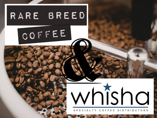 Rare Breed Coffee Partners with Whisha Specialty Coffee Distributors